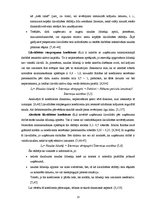 Diplomdarbs 'SIA "X" finanšu analīze un attīstības perspektīvas', 13.