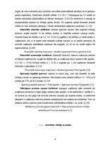 Diplomdarbs 'SIA "X" finanšu analīze un attīstības perspektīvas', 15.