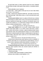 Diplomdarbs 'SIA "X" finanšu analīze un attīstības perspektīvas', 16.