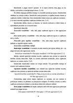 Diplomdarbs 'SIA "X" finanšu analīze un attīstības perspektīvas', 18.