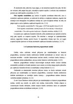 Diplomdarbs 'SIA "X" finanšu analīze un attīstības perspektīvas', 20.