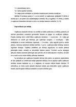 Diplomdarbs 'SIA "X" finanšu analīze un attīstības perspektīvas', 22.