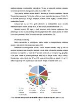 Diplomdarbs 'SIA "X" finanšu analīze un attīstības perspektīvas', 29.