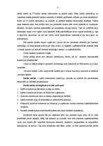 Referāts 'E-komercijas jēdziens un praktiskais pielietojums', 4.