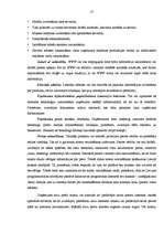 Referāts 'E-komercijas jēdziens un praktiskais pielietojums', 15.