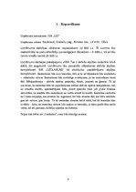 Referāts 'Biznesa plāns "Liz"', 2.