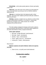 Referāts 'Biznesa plāns "Liz"', 4.