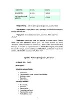 Referāts 'Biznesa plāns "Liz"', 7.