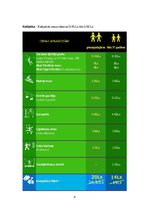 Referāts 'Biznesa plāns "Liz"', 8.