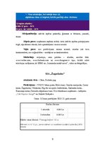 Referāts 'Biznesa plāns "Liz"', 9.