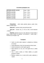 Referāts 'Biznesa plāns "Liz"', 11.