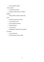 Referāts 'Biznesa plāns "Liz"', 17.