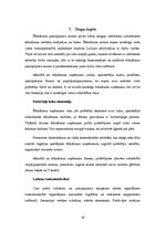 Referāts 'Biznesa plāns "Liz"', 19.