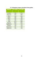 Referāts 'Biznesa plāns "Liz"', 24.