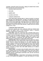 Referāts 'Uzņēmuma konkurētspējas paaugstināšanas projekts', 10.