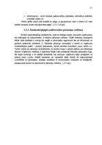 Referāts 'Uzņēmuma konkurētspējas paaugstināšanas projekts', 31.