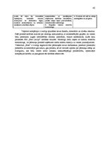 Referāts 'Uzņēmuma konkurētspējas paaugstināšanas projekts', 40.