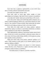 Referāts 'Ieņēmumi uzņēmējdarbībā, to avotu izvēle', 2.