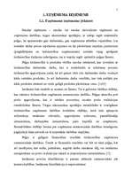 Referāts 'Ieņēmumi uzņēmējdarbībā, to avotu izvēle', 5.