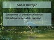 Prezentācija 'Ramsāres vietas pasaulē', 2.