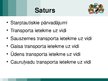 Referāts 'Starptautisko pārvadājumu ietekme uz vidi', 29.