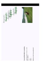 Referāts 'Lauku tūrisms Kaplavas pagastā', 1.