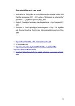 Referāts 'Es sociālajā vidē', 16.