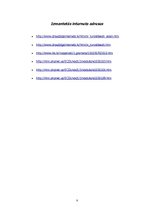 Referāts 'Referāts informātikā', 8.