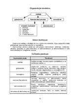 Biznesa plāns 'Atpūtas komplekss "xxxXxxx"', 13.