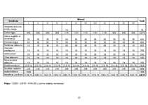 Biznesa plāns 'Atpūtas komplekss "xxxXxxx"', 21.