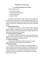 Biznesa plāns 'Biznesa plāns', 7.