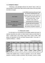 Biznesa plāns 'Biznesa plāns', 11.