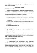 Biznesa plāns 'Biznesa plāns', 12.