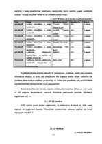 Biznesa plāns 'Biznesa plāns', 13.