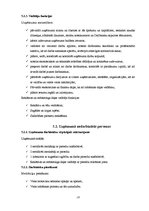 Biznesa plāns 'Biznesa plāns', 18.