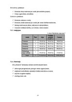 Biznesa plāns 'Biznesa plāns', 19.