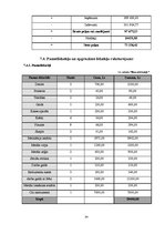 Biznesa plāns 'Biznesa plāns', 24.