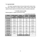 Biznesa plāns 'Biznesa plāns', 25.