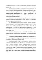 Paraugs 'Praktiskie darbi kursā "Kvartārģeoloģija"', 28.