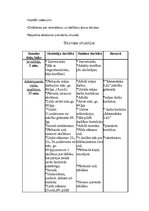 Konspekts 'Matemātikas stundas plāns', 2.