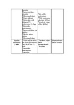 Konspekts 'Matemātikas stundas plāns', 3.