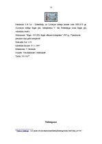 Referāts 'Valters fon Pletenbergs', 12.