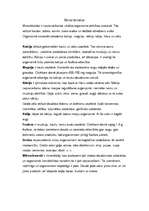 Konspekts 'Minerālvielas', 1.