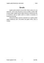 Referāts 'Augstākā izglītība Skandināvijas valstīs', 3.