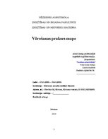 Prakses atskaite 'Prakses atskaite (sociālais dienests)', 1.