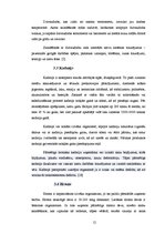 Referāts 'Smago metālu noteikšana ūdens paraugos un to ietekme uz cilvēka organismu', 12.