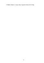 Referāts 'Brīvības cīņas un valsts starptautiskā atzīšana', 12.