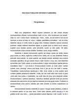 Eseja 'Multikulturālisms mūsdienu sabiedrībā', 1.