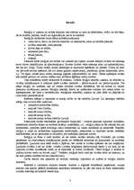 Referāts 'Katoļu ticība', 3.