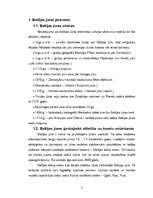 Referāts 'Baltijas jūras piekraste. Pludmales', 3.